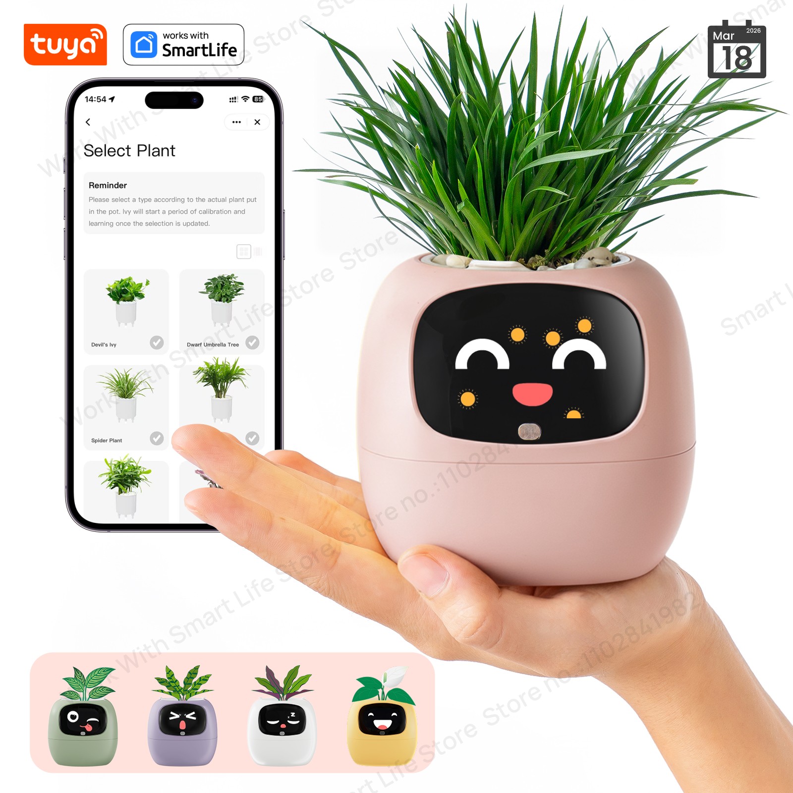 Matter Hub Thread - NEW Tuya Ivy