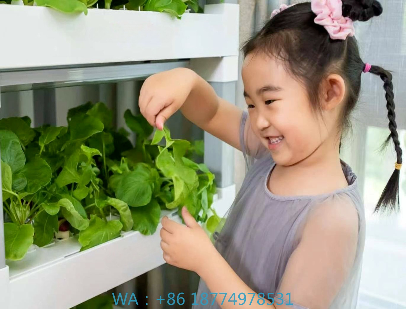 nt China Hydrokultur Grow Box  - Home Automation Systems Diy avis et prix