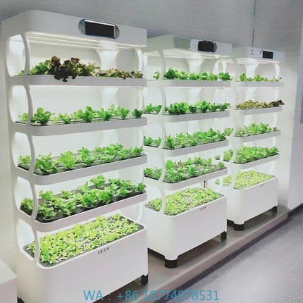 Iydroponic Automated Grow Syst - Home Automation Systems Diy avis et prix