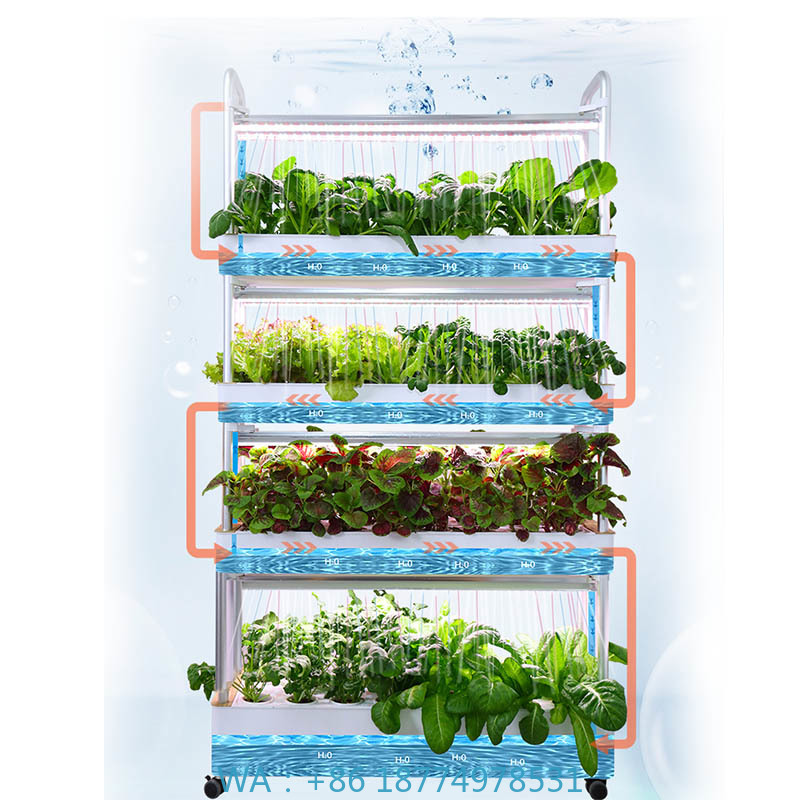 ydroponic Planting System Smar - Home Automation Systems Diy avis et prix