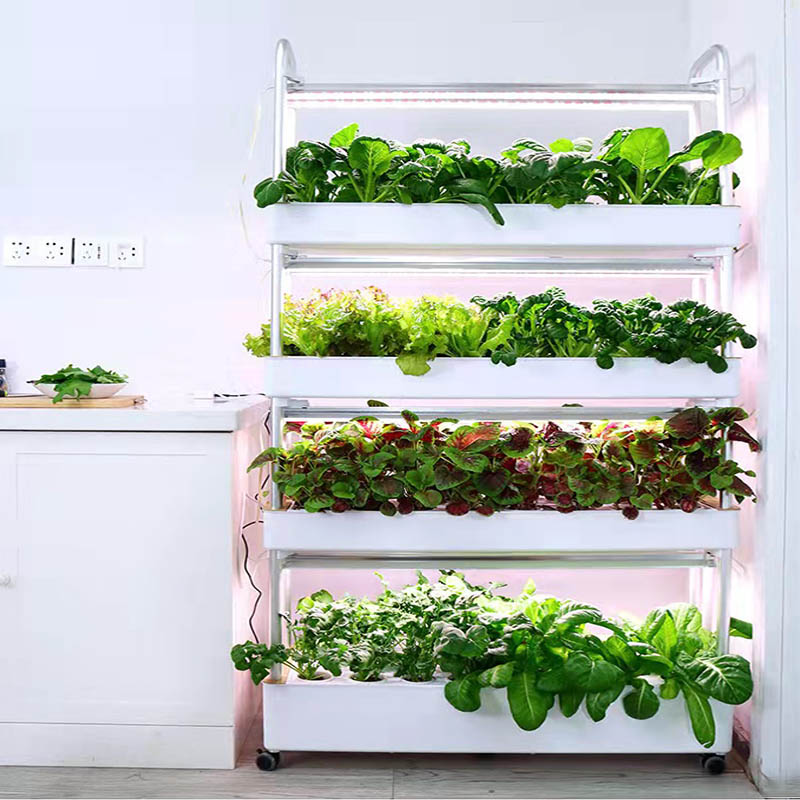ydroponic Planting System Smar - Home Automation Systems Diy avis et prix