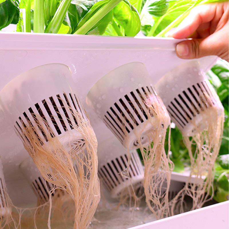 ydroponic Planting System Smar - Home Automation Systems Diy avis et prix