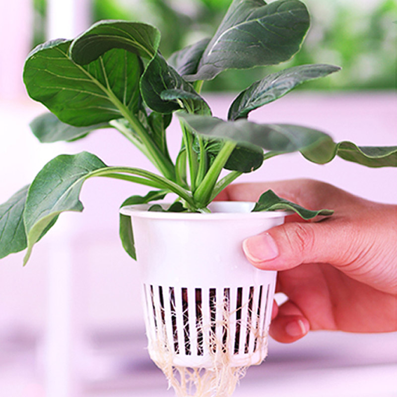 ydroponic Planting System Smar - Home Automation Systems Diy avis et prix