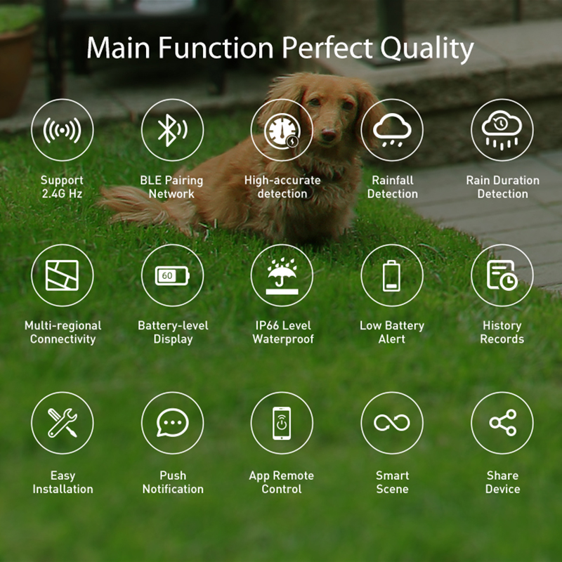 WiFi Rain Sensor Rainfall Dura - Home Automation Technology avis et prix