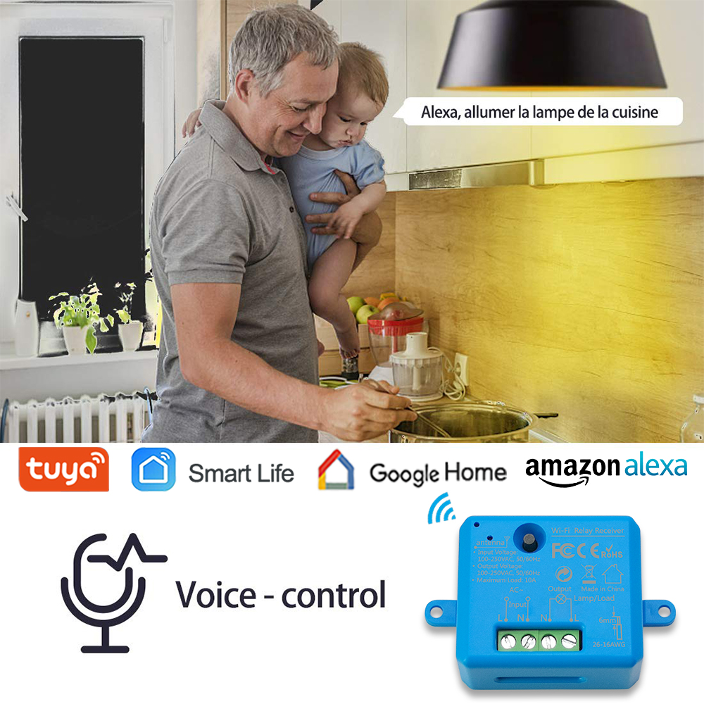 Tuya Smart Life WiFi Socket Ti - Smart Home Automation Diy avis et prix