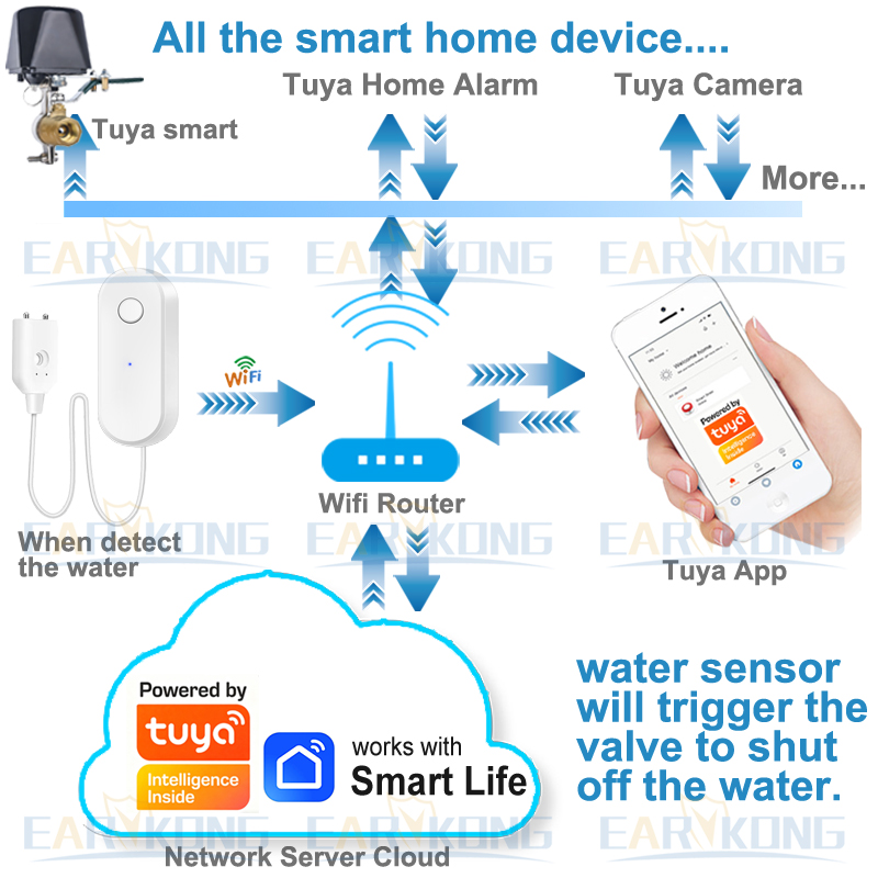 Tuya WiFi Smart Water Leak Sen - Home Automation Technology avis et prix